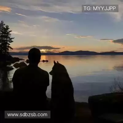 祝同韦
